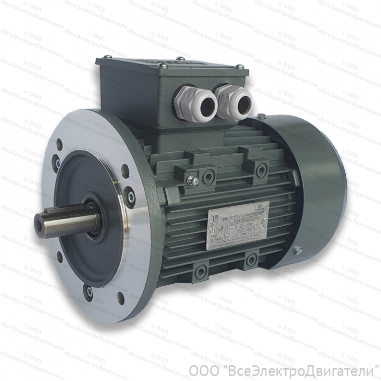 Электродвигатель ЭЛМАШ АИС 100 L2 IM3081 (B5) AL (3 кВт 3000 об/мин)