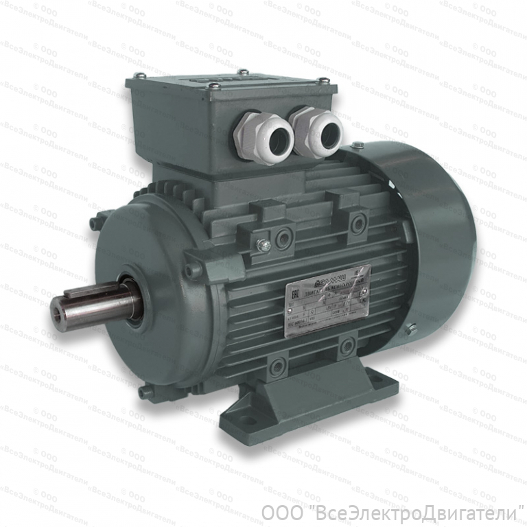 Электродвигатель ЭЛМАШ АИС 100 L2 IM1081 (B3) AL (3 кВт 3000 об/мин)