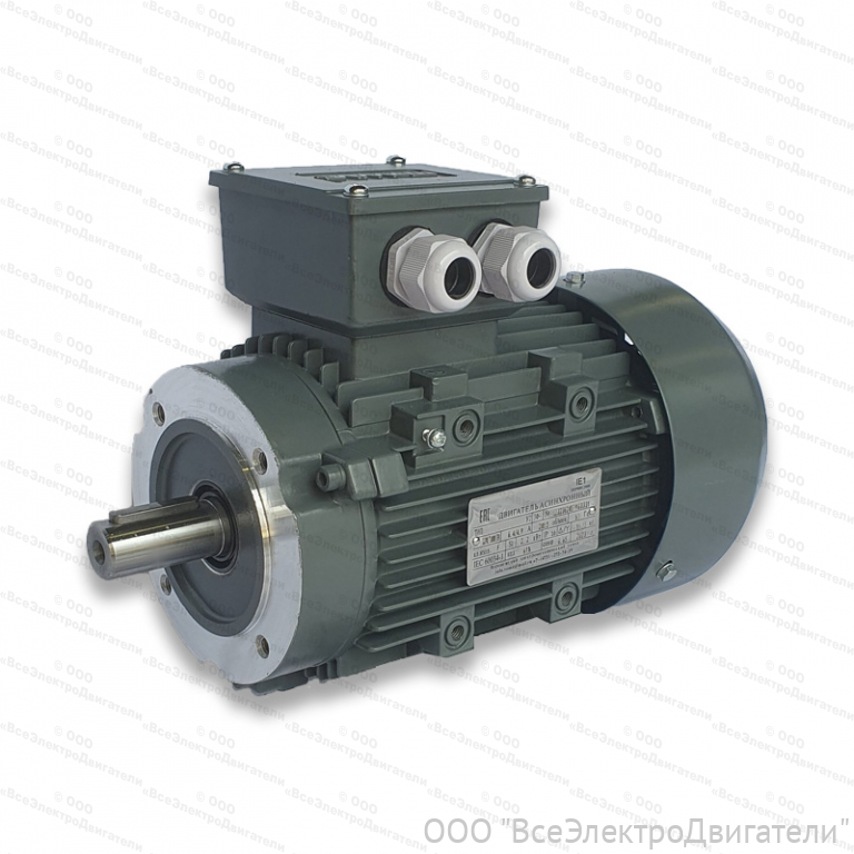 Электродвигатель ЭЛМАШ АИС 100 L2 IM3681 (B14) AL, М (F) 130 мм (3 кВт 3000 об/мин)