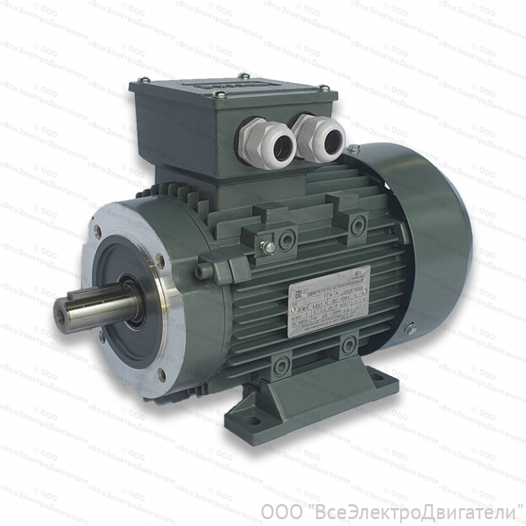 Электродвигатель ЭЛМАШ АИС 100 L2 IM2181 (B34) AL, М (F) 130 мм (3 кВт 3000 об/мин)