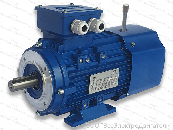 Электродвигатель с тормозом АИР 100 L2 Е2, IM1081 (5,5 кВт 3000 об/мин)